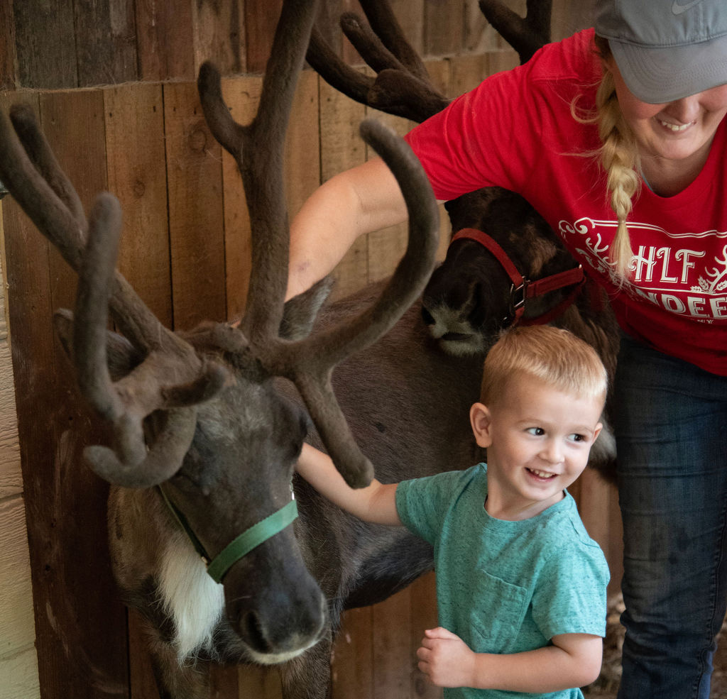 Rocket and Annabelle Reindeer